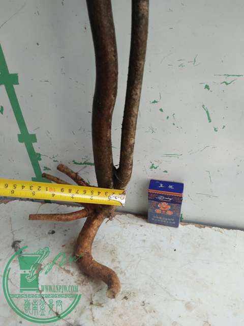 IMG20161229123546.jpg