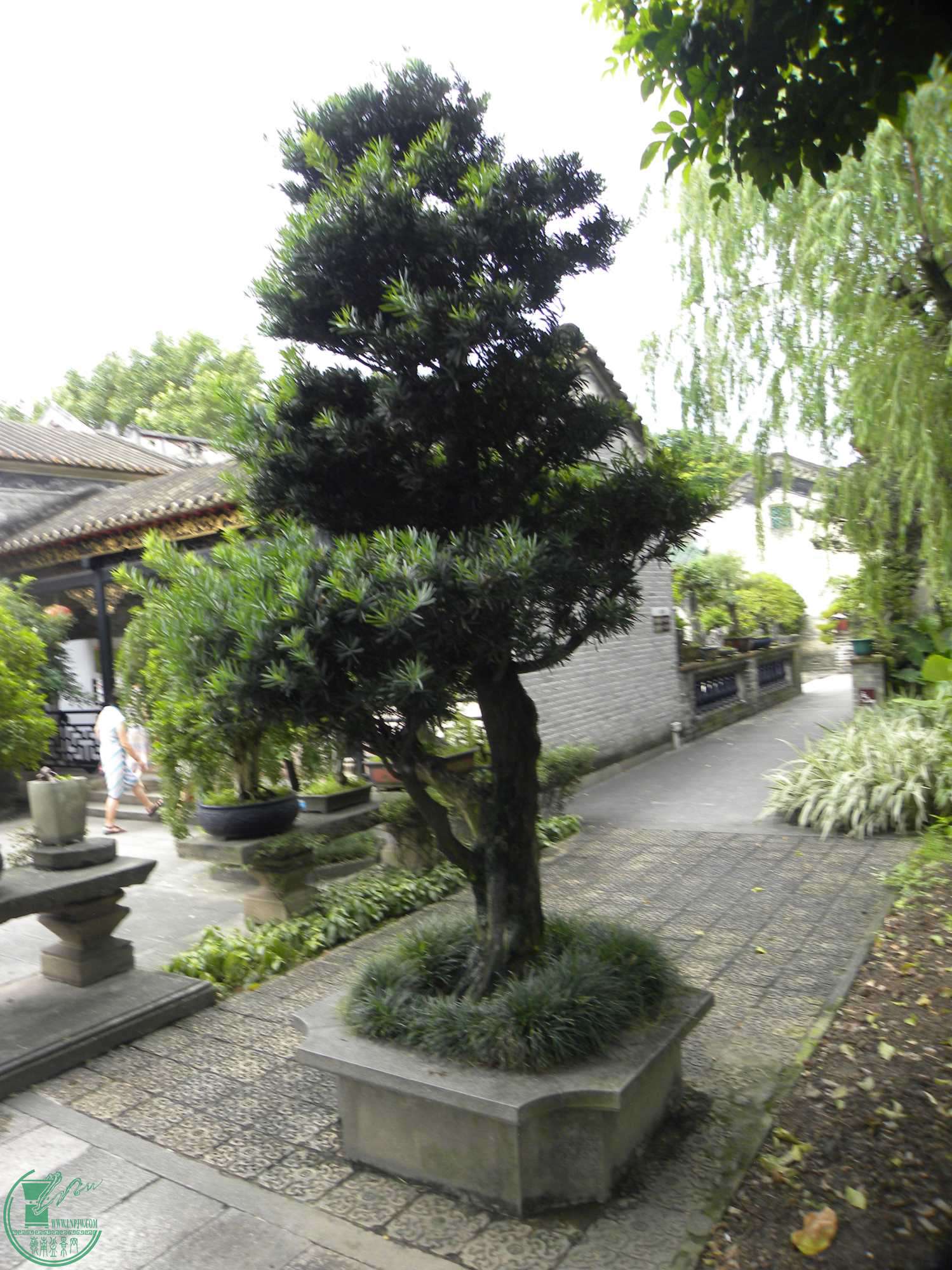 DSCN8817.JPG