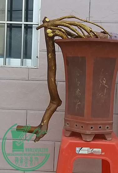 20161230_175218_mh1483095197585.jpg