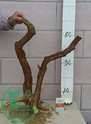 20161230_174333_mh1483094771513.jpg