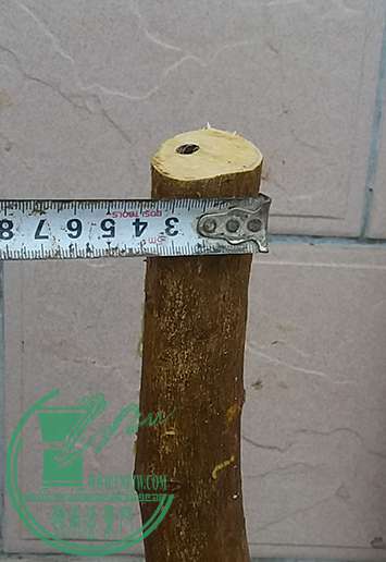20161230_173936_mh1483094607453.jpg