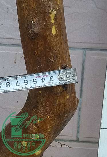 20161230_173957_mh1483094592083.jpg