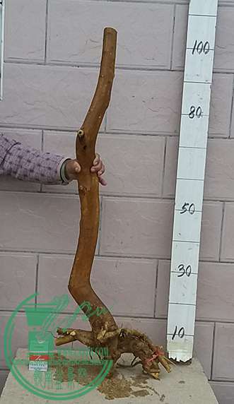 20161230_174019_mh1483094631867.jpg
