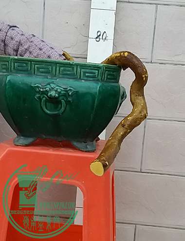 20161231_180047_mh1483181761814.jpg