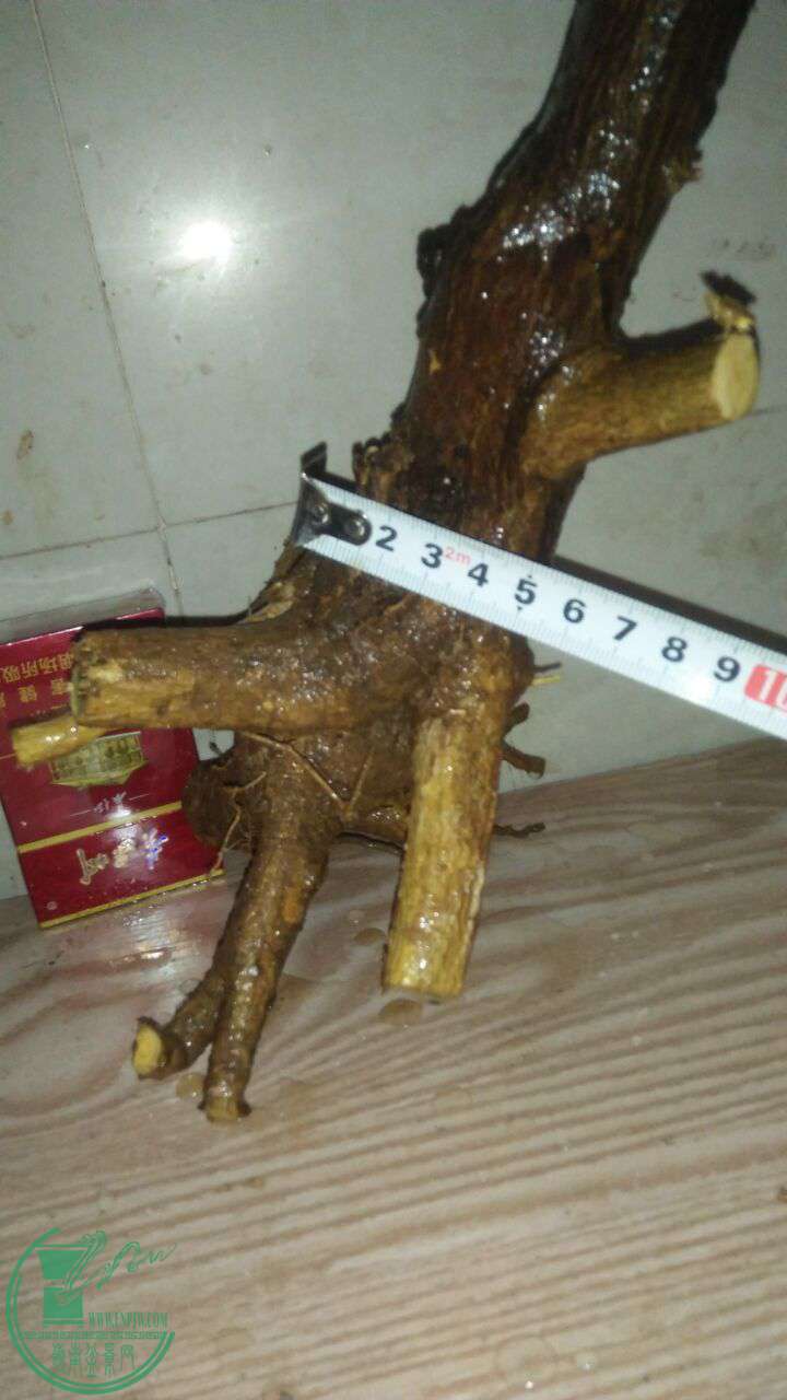 QQͼƬ20161231194405.jpg