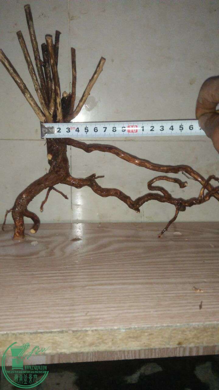 QQͼƬ20161231194438.jpg