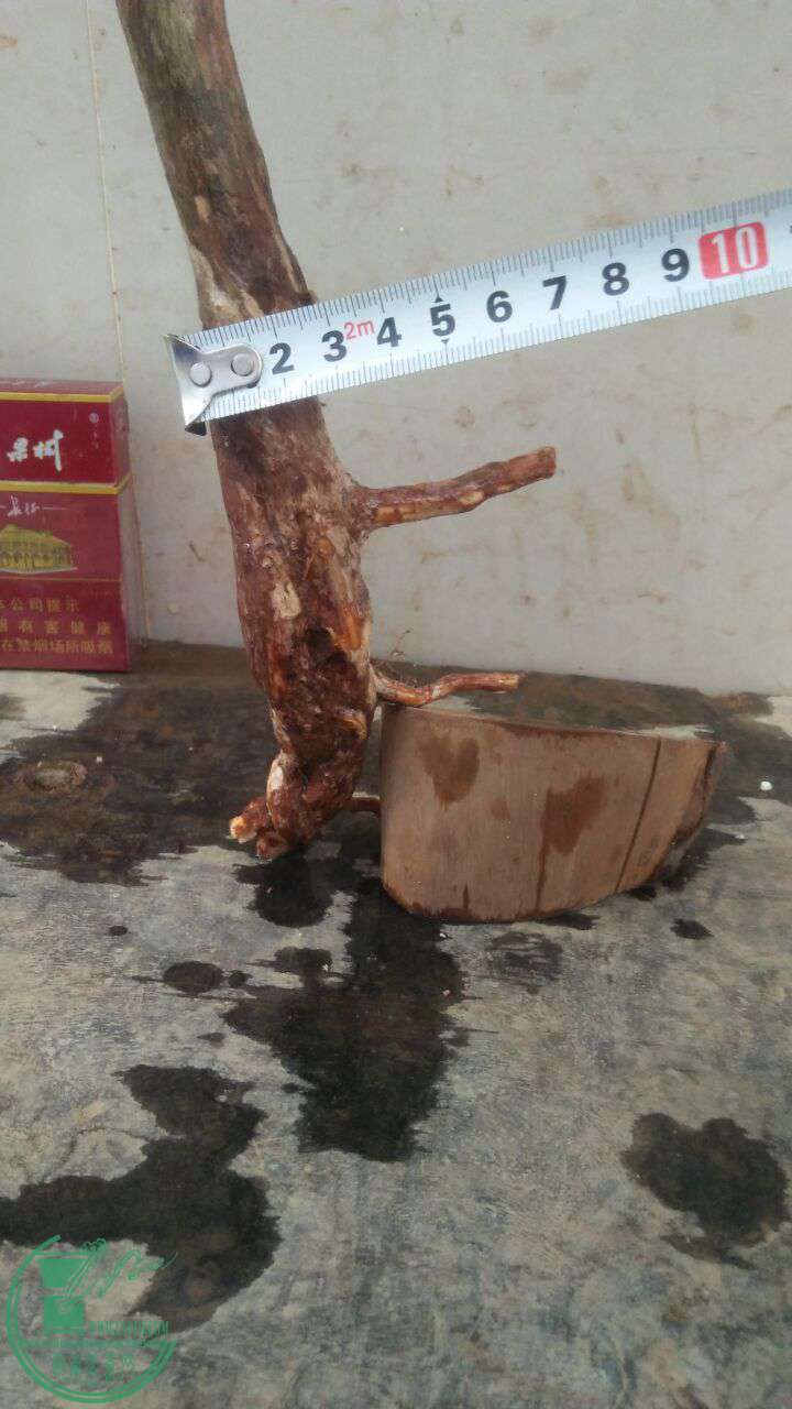 QQͼƬ20161231194442.jpg