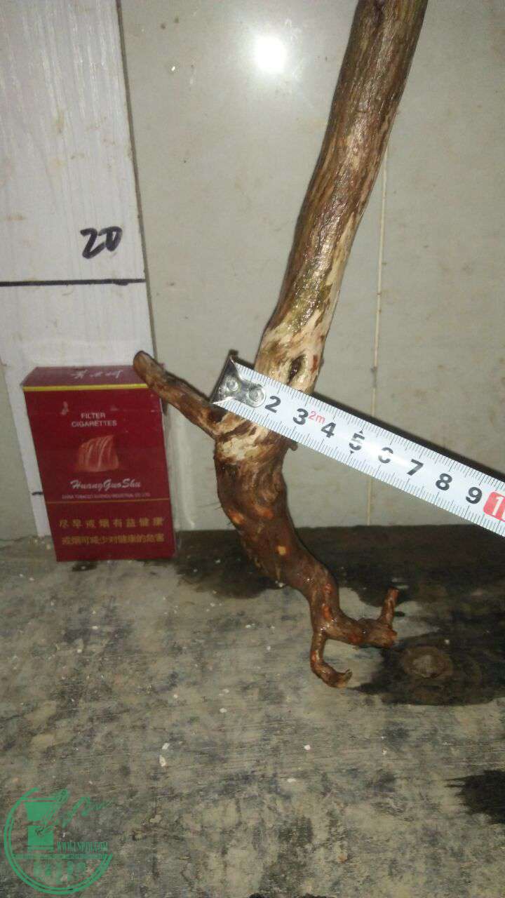 QQͼƬ20161231194355.jpg