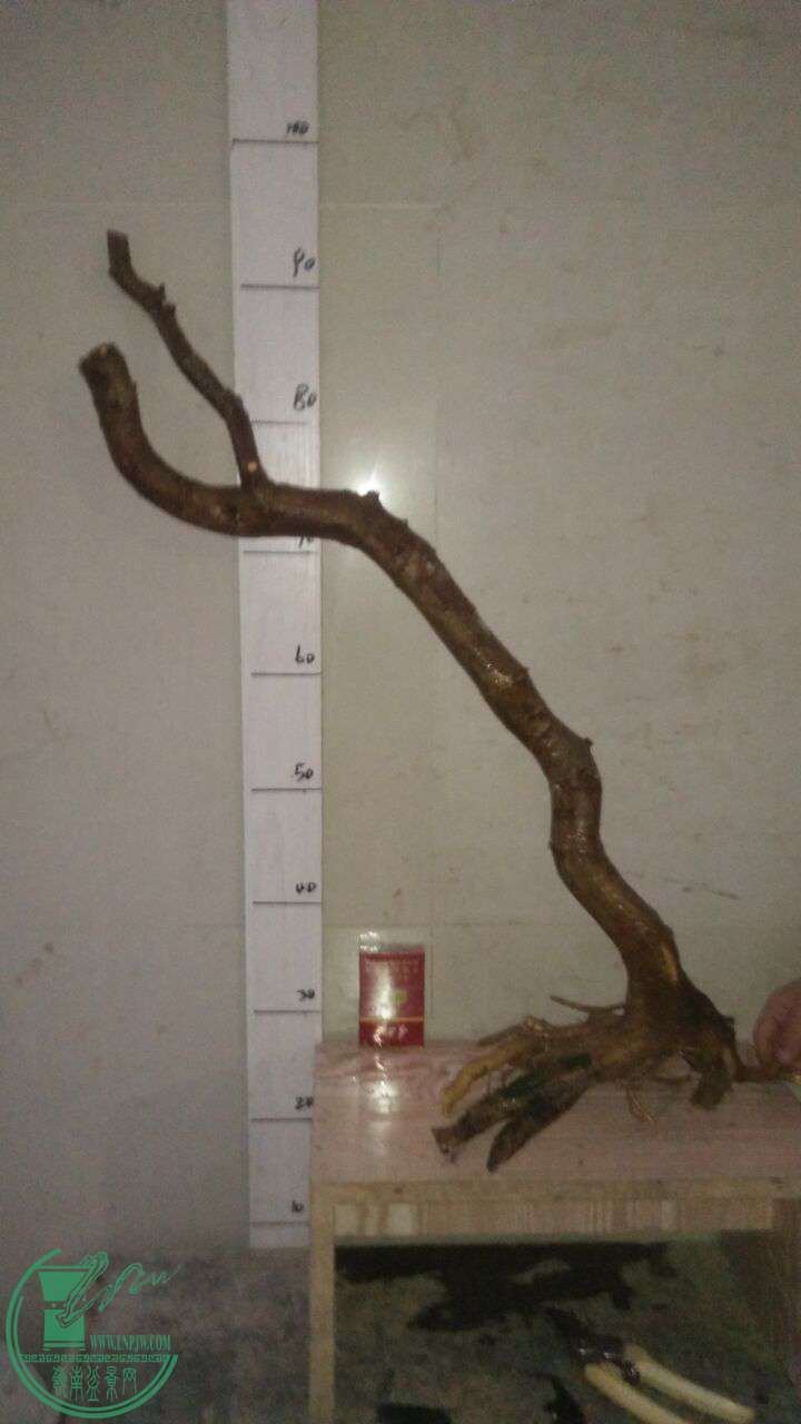 QQͼƬ20161231194412.jpg