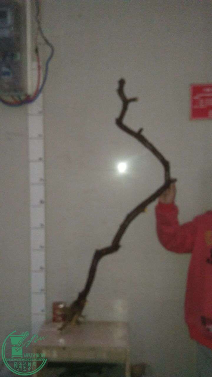 QQͼƬ20161231194417.jpg