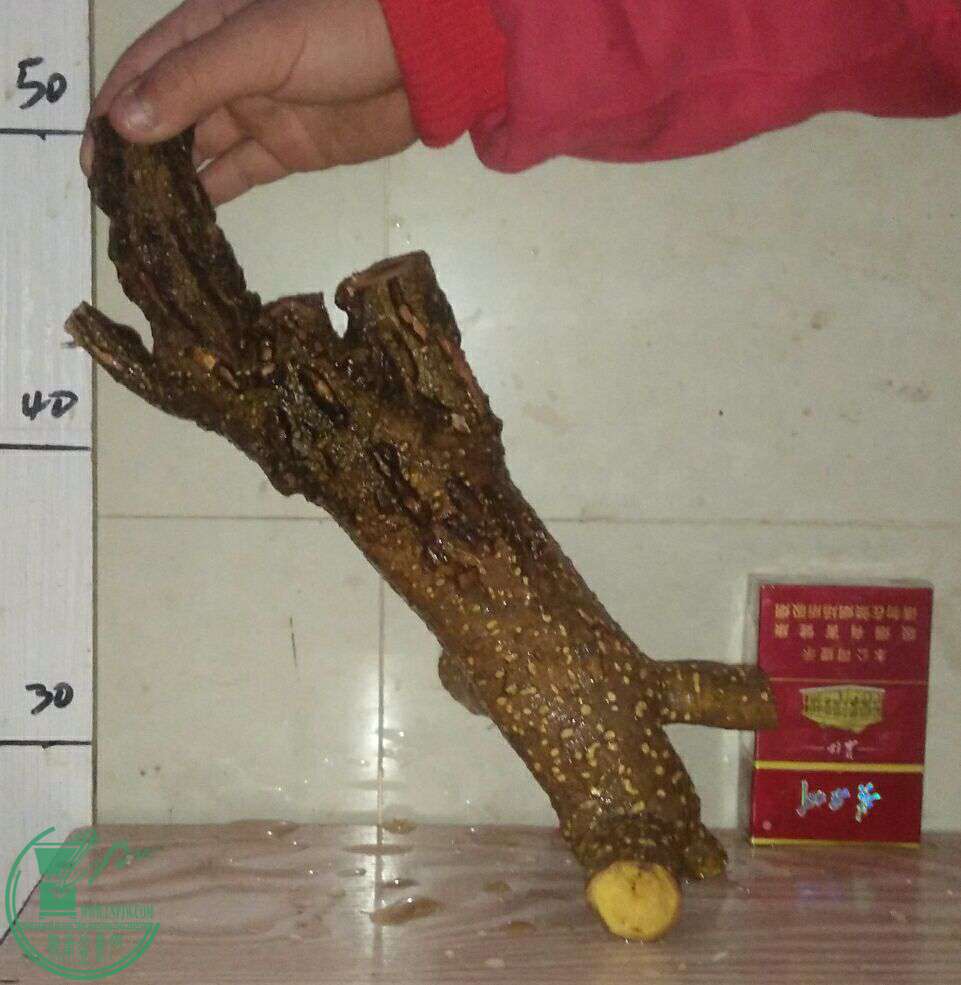 QQͼƬ20161231194319.jpg