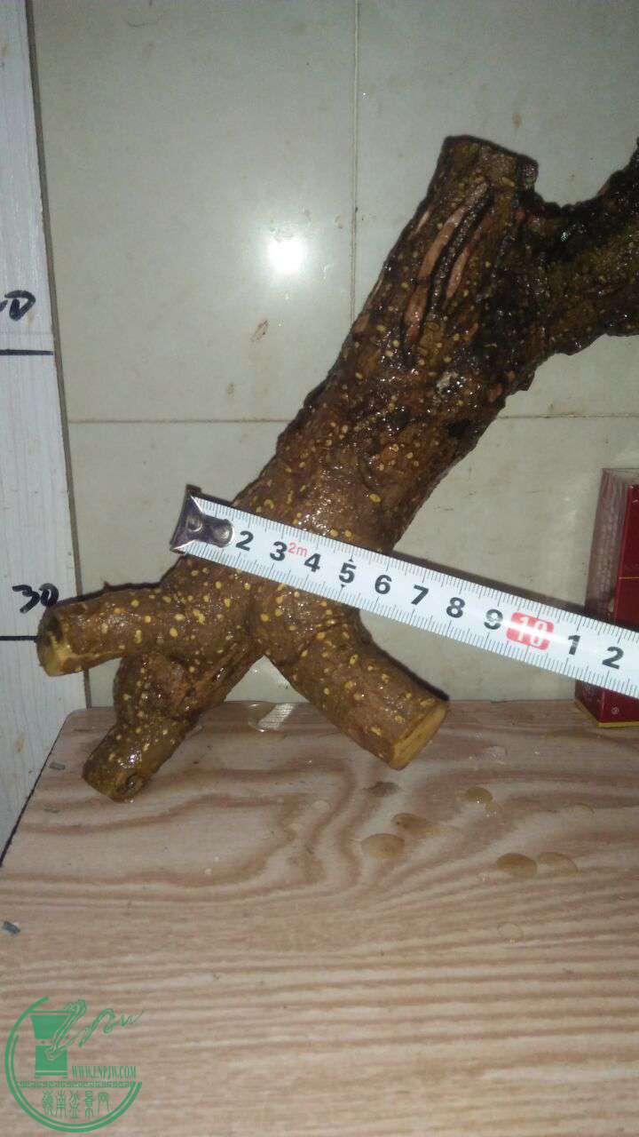 QQͼƬ20161231194433.jpg