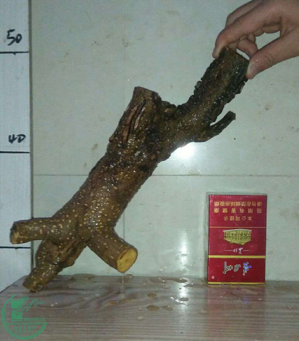 QQͼƬ20161231194326.jpg