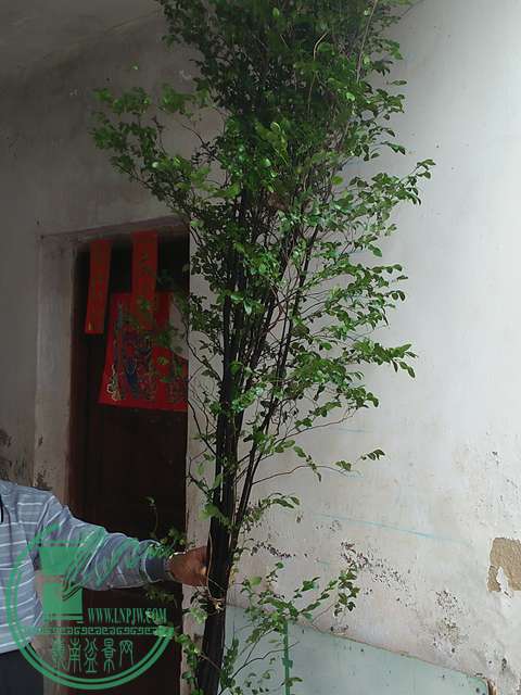 IMG20170101131628.jpg
