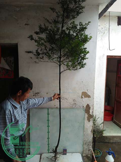 IMG20170101131734.jpg