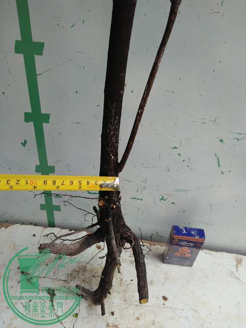 IMG20170101131850.jpg