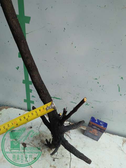IMG20170101131948.jpg