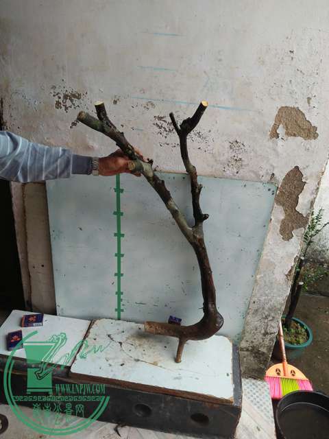 IMG20170101132117.jpg