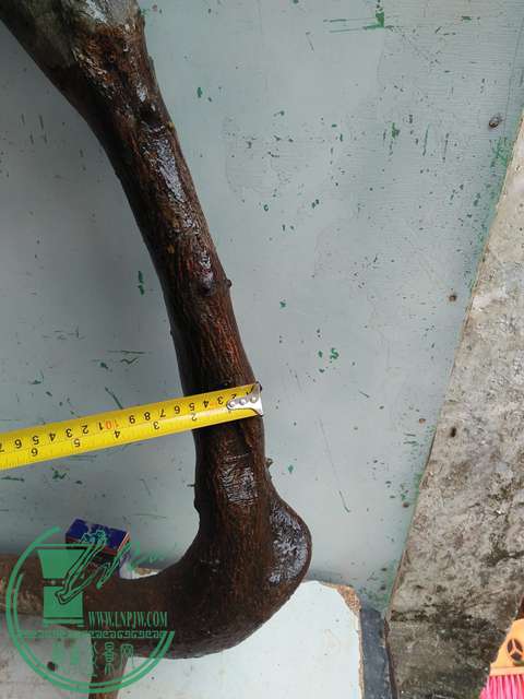 IMG20170101132122.jpg