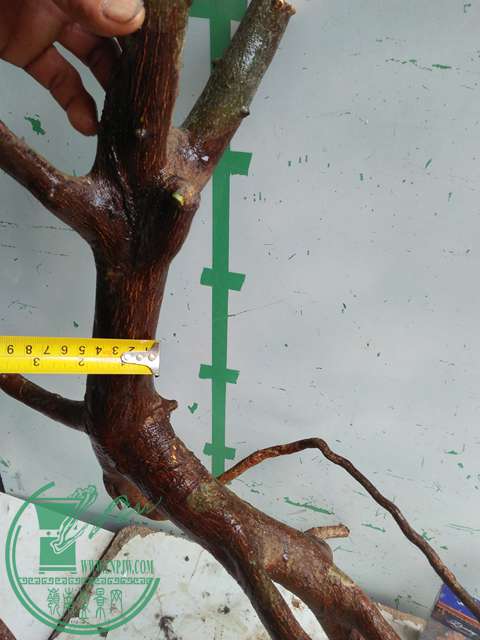 IMG20170101132158.jpg