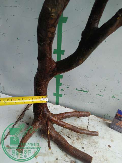 IMG20170101132226.jpg