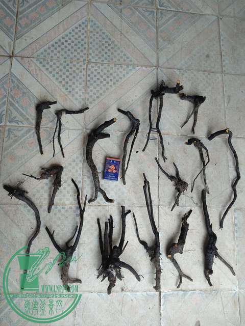 IMG20170101125757.jpg