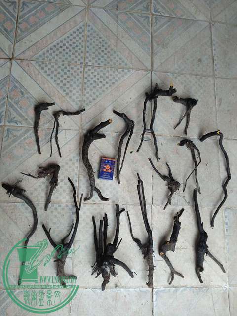IMG20170101125800.jpg