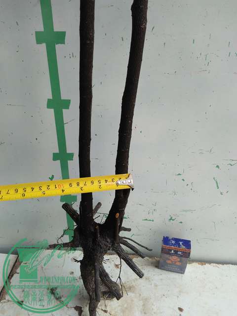IMG20170101131446.jpg
