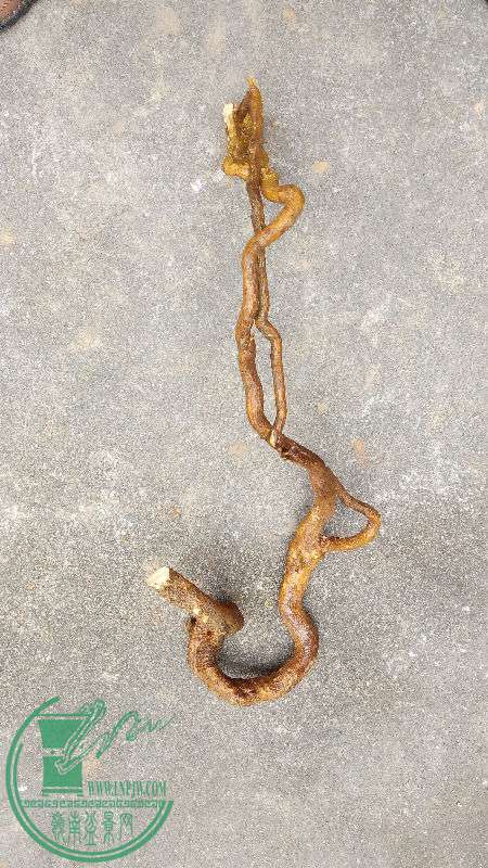 849030