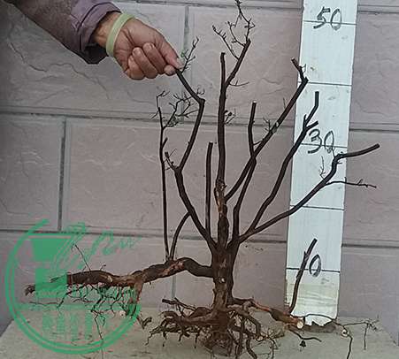 20170102_174926_mh1483353959902.jpg