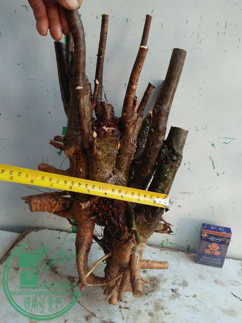 IMG20170102122556.jpg