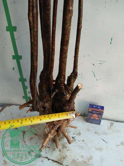 IMG20170102122638.jpg