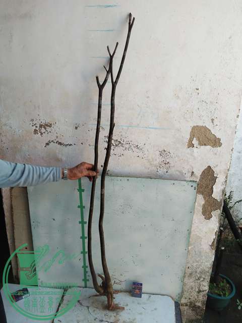 IMG20170102122724.jpg