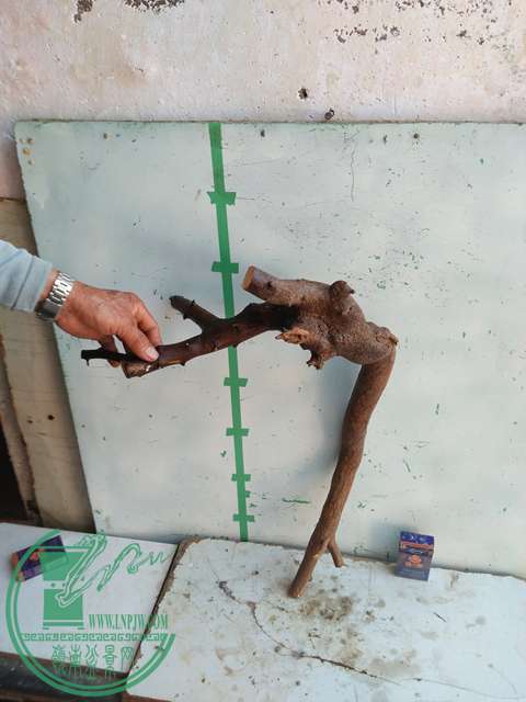IMG20170102122803.jpg