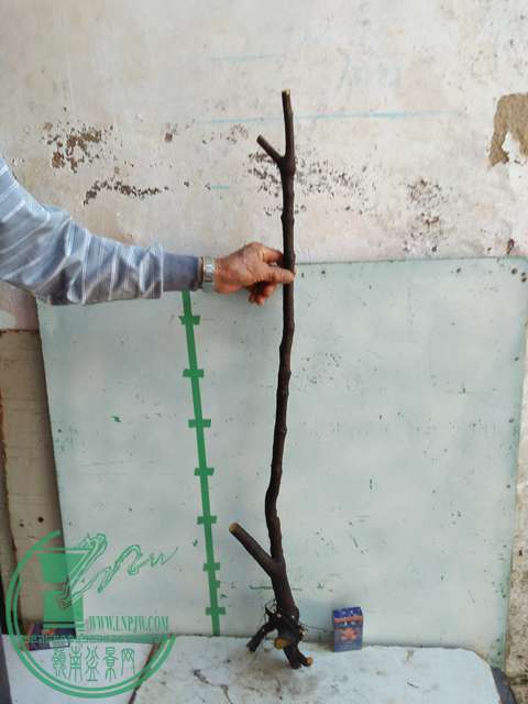 IMG20170103110430.jpg