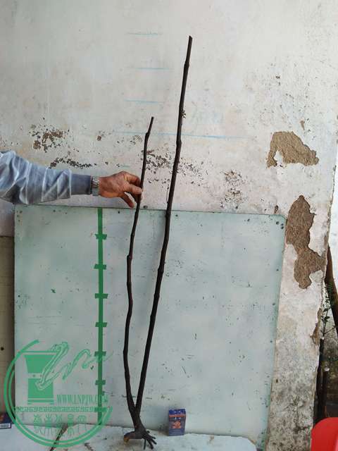 IMG20170103110449.jpg
