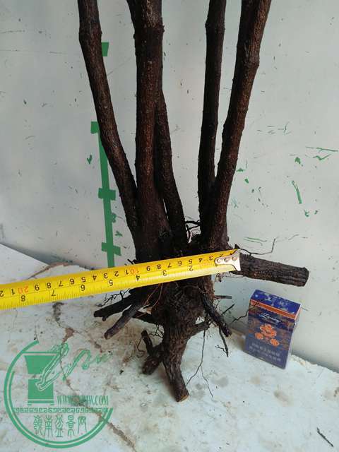 IMG20170103110721.jpg