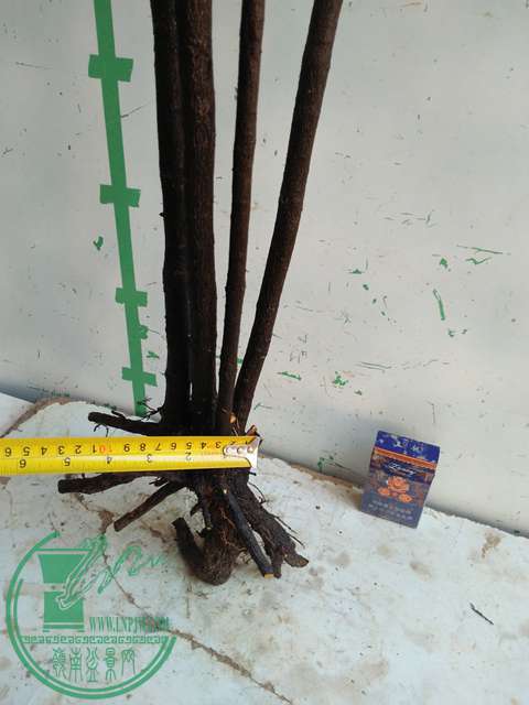 IMG20170103110856.jpg