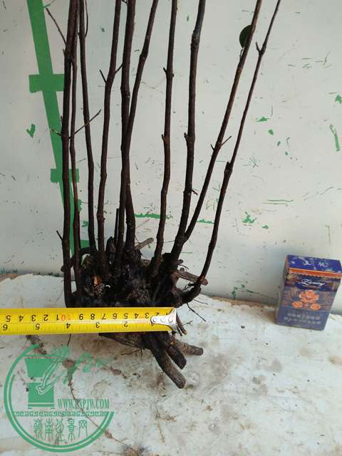 IMG20170103110916.jpg