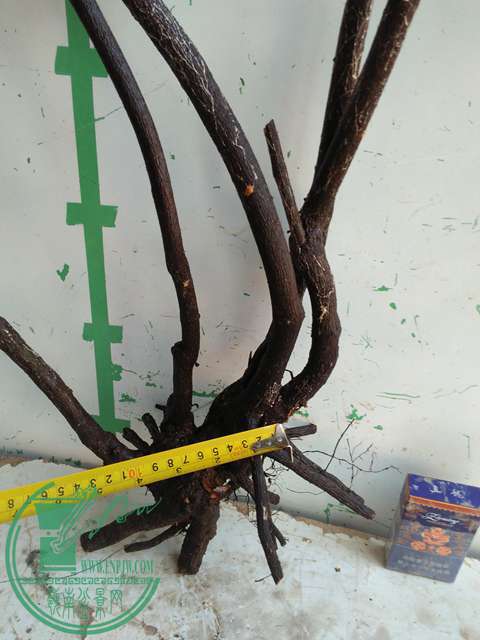 IMG20170103110935.jpg