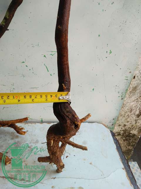 IMG20170103111612.jpg