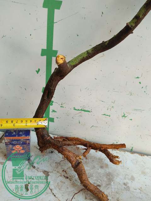 IMG20170103111616.jpg