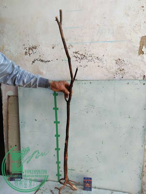 IMG20170103111716.jpg