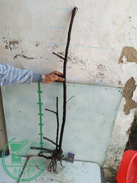 IMG20170103105636.jpg