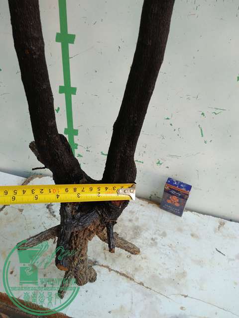 IMG20170103105715.jpg