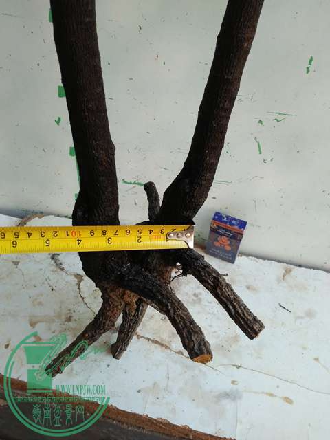 IMG20170103105727.jpg