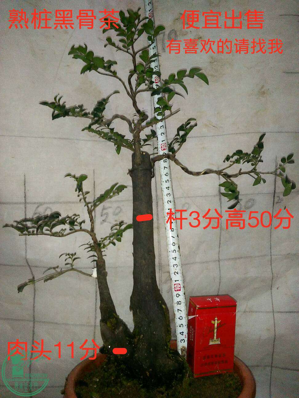 31180Ԫ