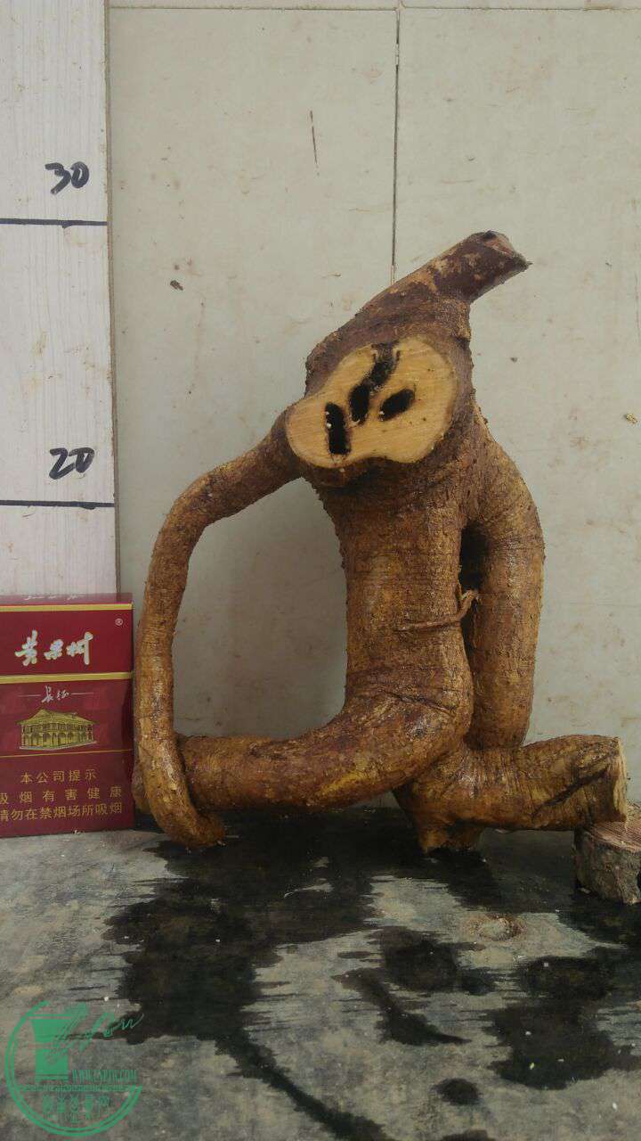 QQͼƬ20170104193128.jpg
