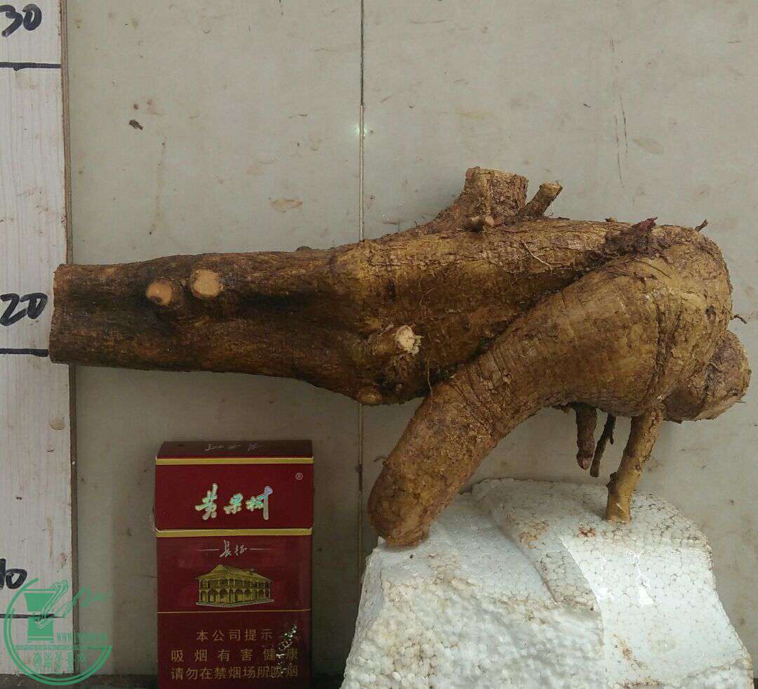 QQͼƬ20170104192829.jpg