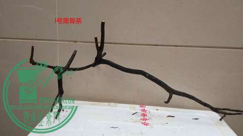 P70104-173438_.jpg